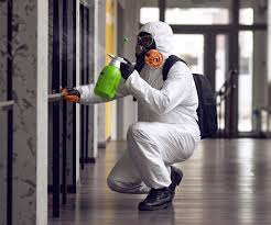 Reliable Esperance, WA Mold Remediation Solutions